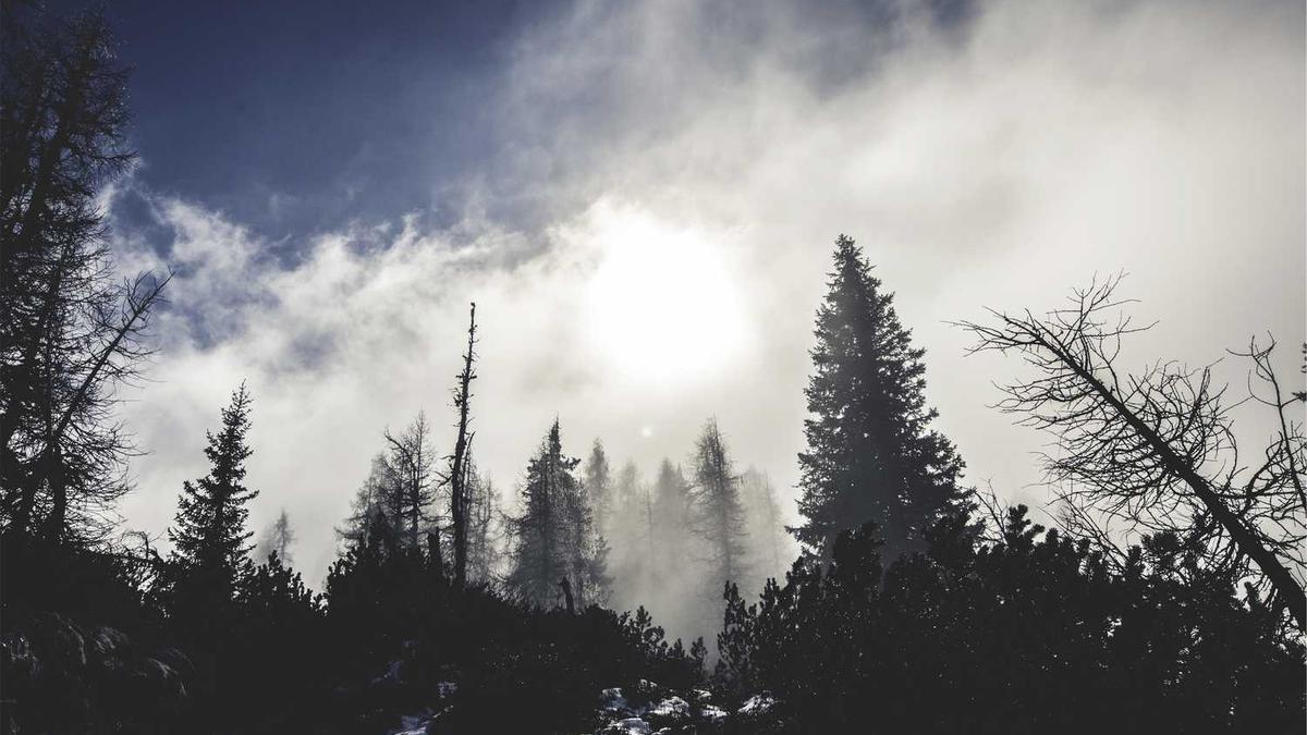 Nocode Tools: Building Your Business Without Code